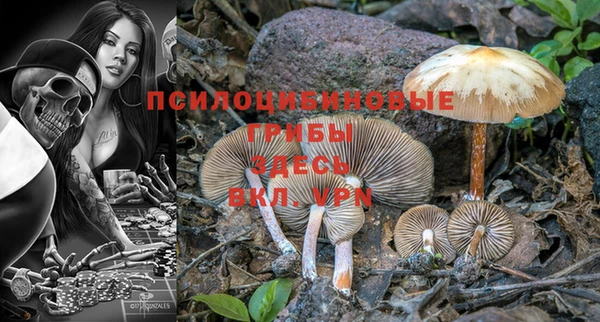 бошки Аркадак