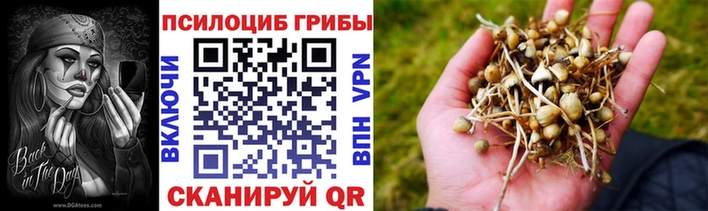 Галлюциногенные грибы Psilocybine cubensis Крым