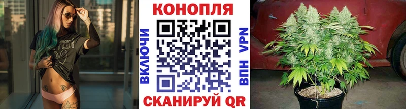 Бошки Шишки план  ОМГ ОМГ как зайти  Крым 